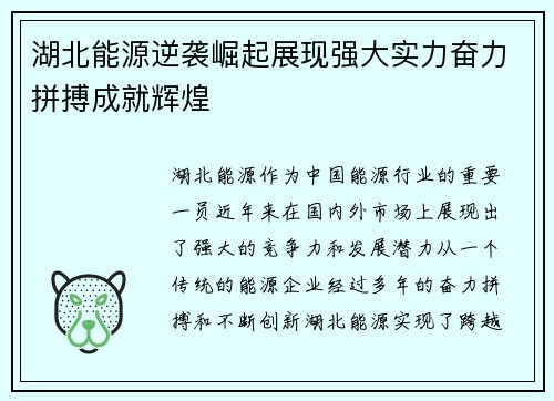 湖北能源逆袭崛起展现强大实力奋力拼搏成就辉煌