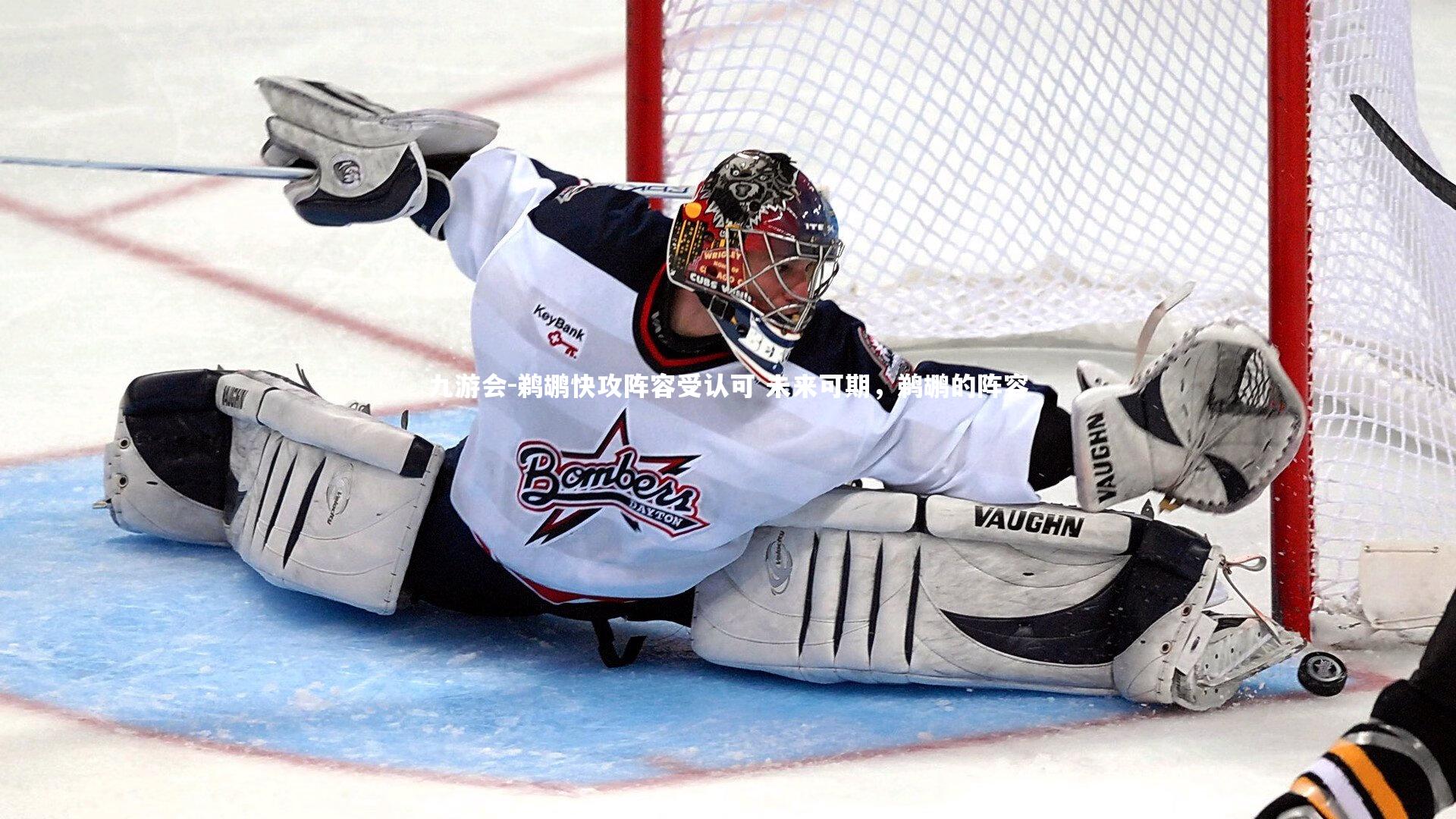 鹈鹕快攻阵容受认可 未来可期，鹈鹕的阵容